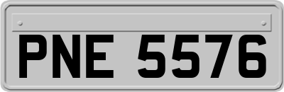 PNE5576