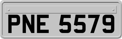 PNE5579