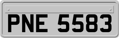 PNE5583
