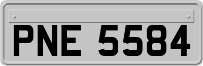 PNE5584