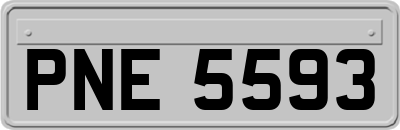 PNE5593