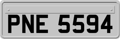 PNE5594