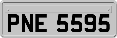 PNE5595