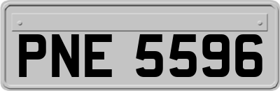 PNE5596