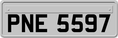 PNE5597