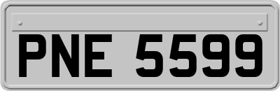 PNE5599