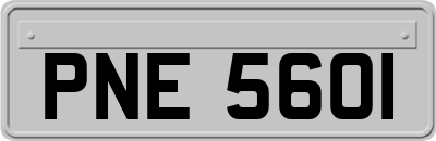 PNE5601