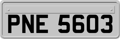 PNE5603