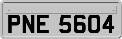PNE5604