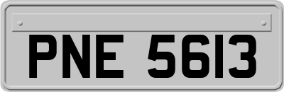 PNE5613