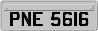 PNE5616