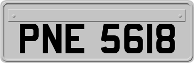 PNE5618