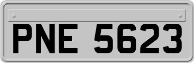 PNE5623