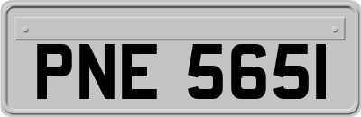 PNE5651