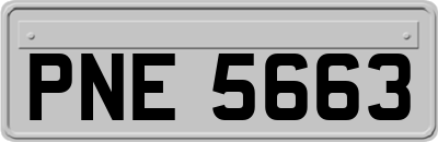 PNE5663