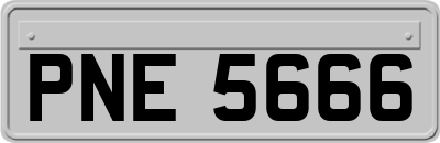 PNE5666
