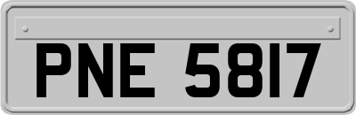 PNE5817