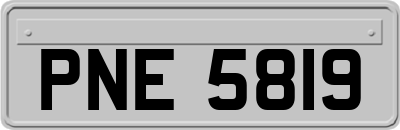 PNE5819