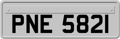 PNE5821