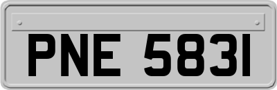 PNE5831