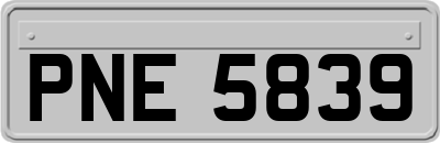 PNE5839