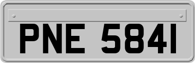 PNE5841