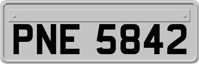 PNE5842