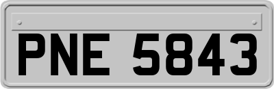 PNE5843
