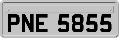PNE5855