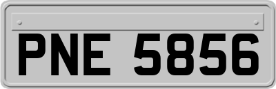 PNE5856