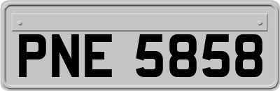 PNE5858
