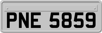PNE5859