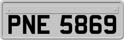 PNE5869