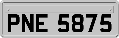 PNE5875