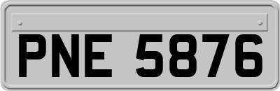 PNE5876