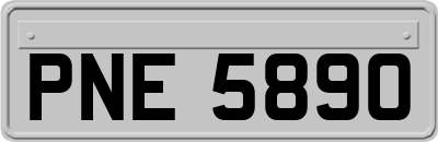 PNE5890