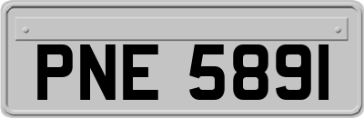 PNE5891
