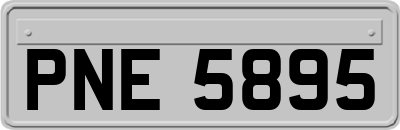 PNE5895