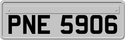 PNE5906