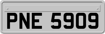 PNE5909