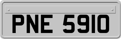 PNE5910