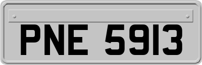 PNE5913
