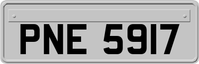 PNE5917