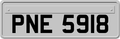 PNE5918