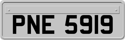 PNE5919