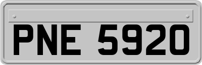 PNE5920