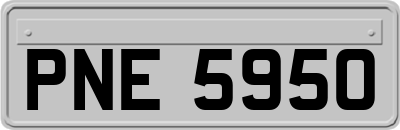 PNE5950
