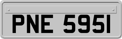 PNE5951