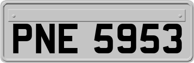 PNE5953