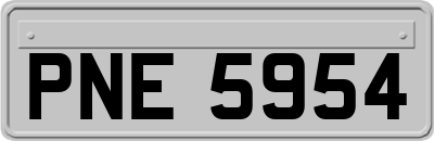 PNE5954